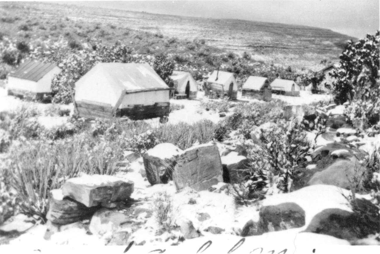 Several lined up snow covered canvas tents.