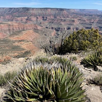 The viewshed from Twin Point overlooking Grand Canyon National Park.