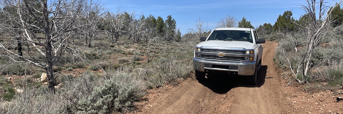 Truck on Dirt Road