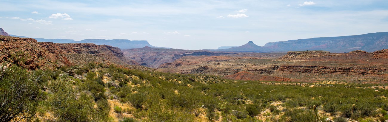 View of an expansive valley filled with desert scrub vegatation. Various peaks and mesas are in the distance.