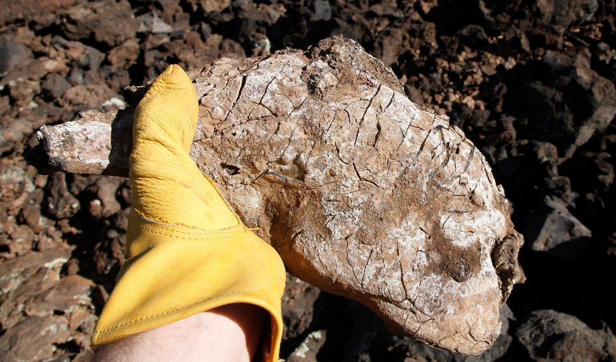 Person holding lava bomb rock in their hand