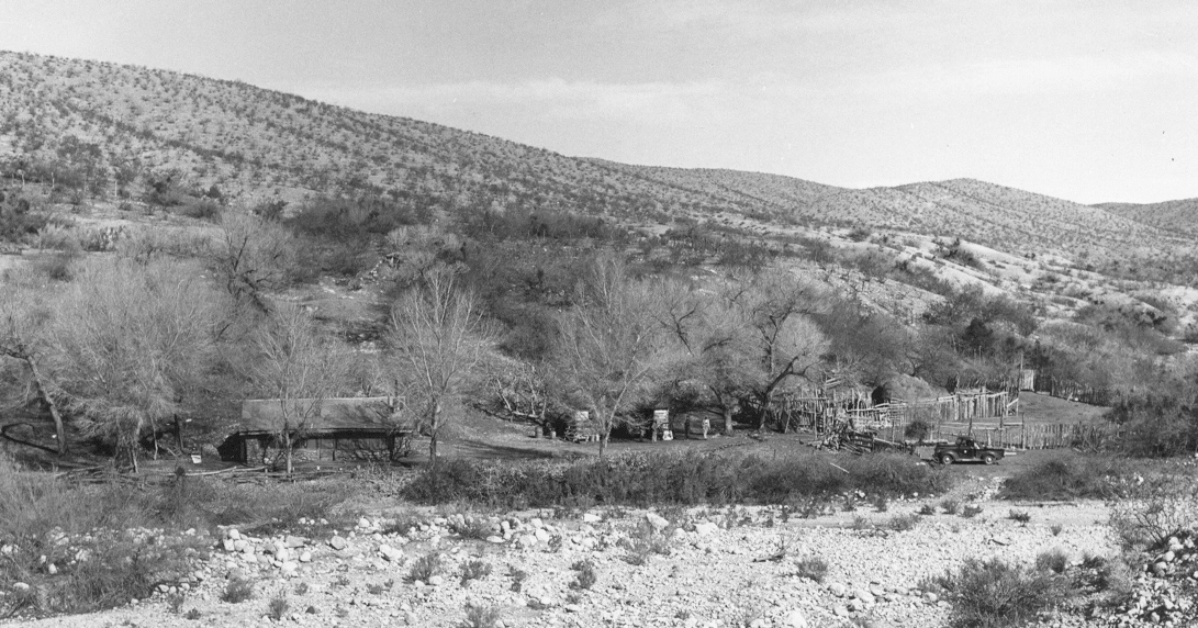 Tassi Ranch 1947 Photo showing the ranch in 1947 with young cottonwoods in front of the ranch house
