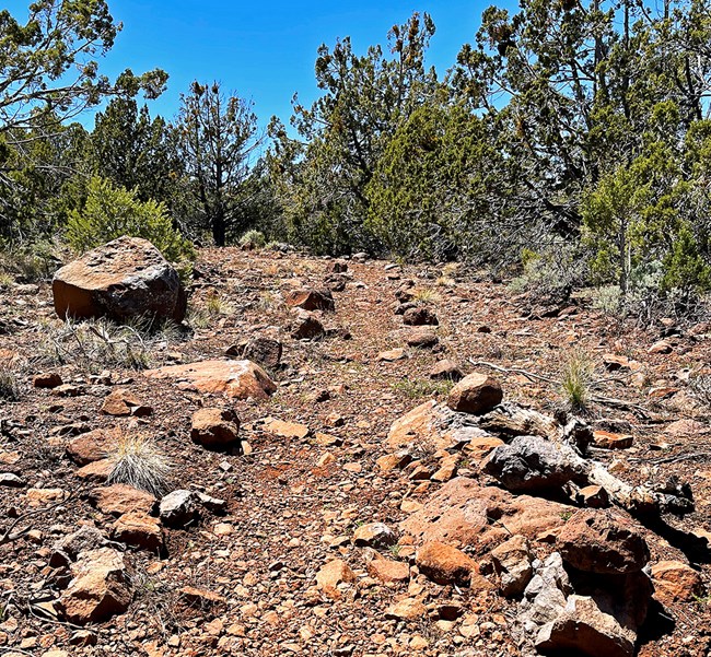 Mt. Dellenbaugh rock lined trail