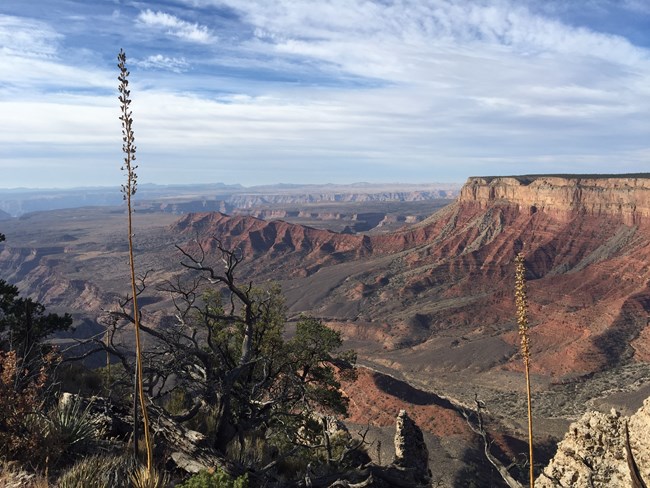 Burnt Canyon viewpoint into the Grand Canyon