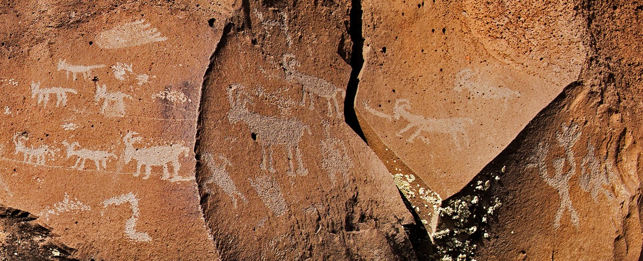 Over 20 Native American petroglyphs of animals and human figures chipped into lava rock