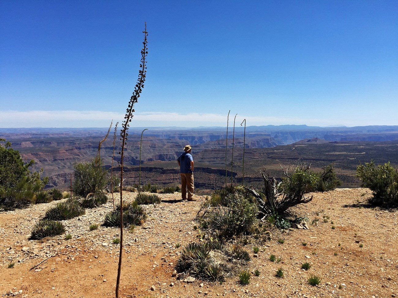 Visitor looking out on the Grand Canyon from Twin Point