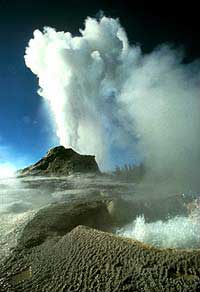 Yellowstone