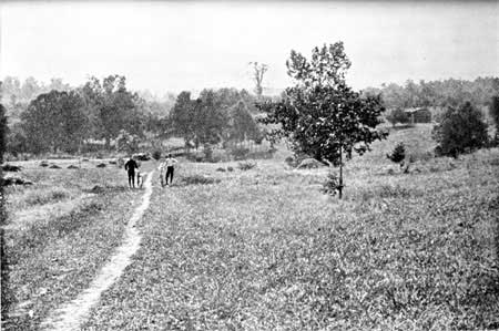 Rock Spring Farm