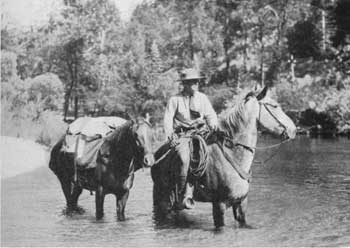 national park ranger riding patrol