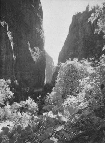 Zion Canyon