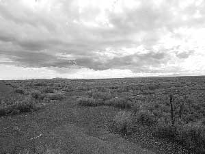 current view of Topaz Relocation Center site