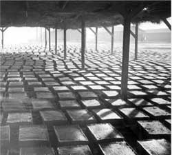 Drying adobe bricks