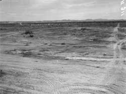 Poston site partially cleared