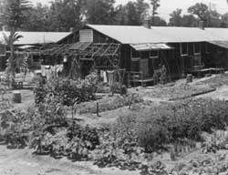 Evacuee garden at Rohwer