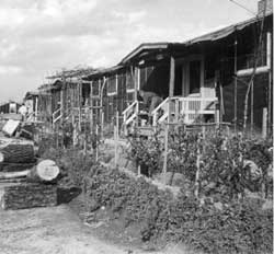 Barracks residence at Rohwer