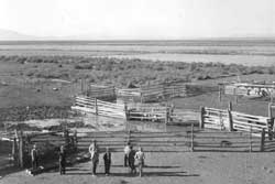 Corral at the relocation center hog farm