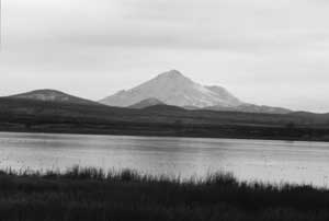 Tule Lake and Mt. Shasta