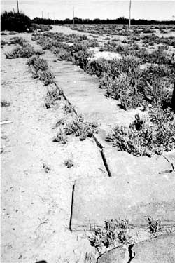 Sidwalk remnants at the Leupp Isolation Center