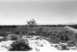 Site of the Leupp Isolation Center