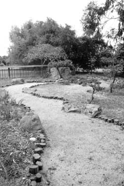 Japanese garden in the courtyard of the Salinas Community Center