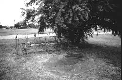 Well and concrete slab at the site of the Crystal City Internment Camp