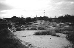 Remains of the concrete swimming pool at the Crystal City Internment Camp today