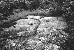 Concrete slab at the site of the Kooskia Work Camp