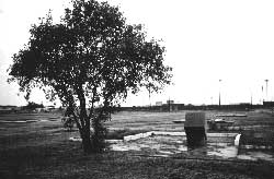 Overview of monument and slab foundations at the Crystal City Internment Camp