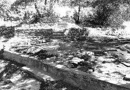 Rock walls near the location of the administration
building at the site of the Catalina Federal Honor Camp