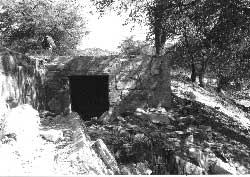 Basement in the staff housing area at the site of the Catalina Federal Honor Camp