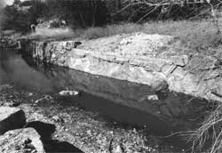 Retaining wall along Soldier Canyon Creek,
Catalina Federal Honor Camp