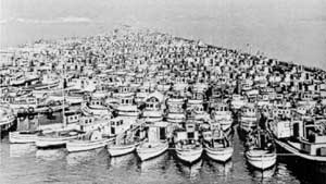 seized fishing boats, Fraser River, BC