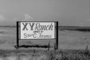 XY Ranch