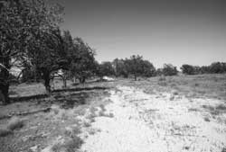 relocation center road today, Granada