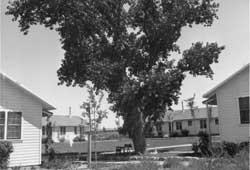 staff housing, Granada