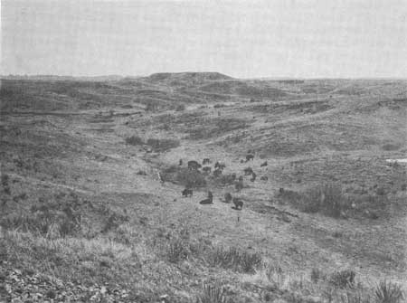 Sage Creek Basin