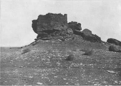 Wukoki