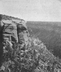 Navaho Canyon