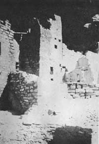 Cliff Palace (Square Tower)