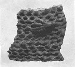 pottery