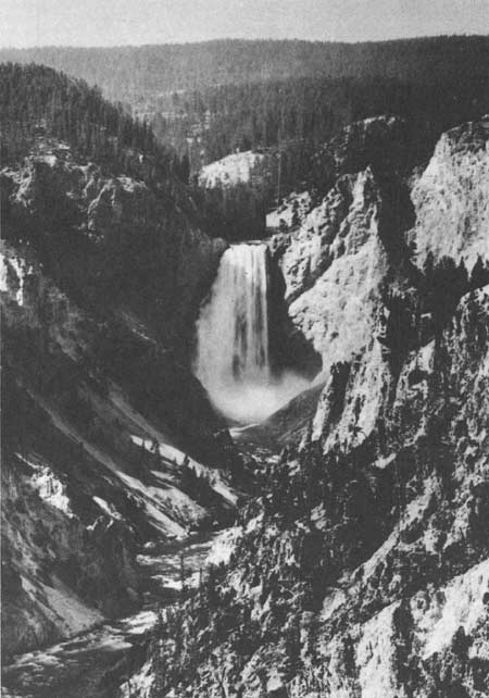 Grand Canyon and Lower Falls of the Yellowstone River