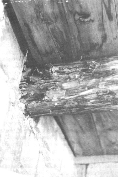 Viga deterioration