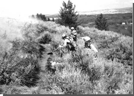 burning sagebrush in the Horse Pasture