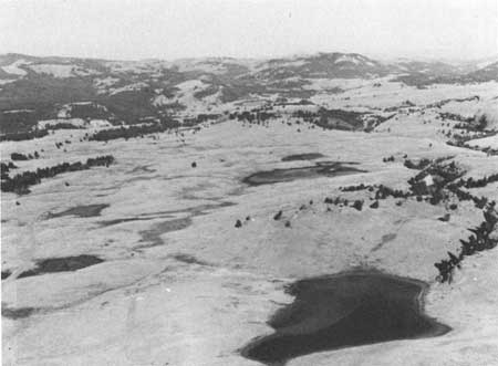 lower Lamar Valley