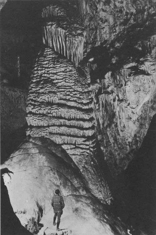 Carlsbad Caverns NP: Guidebook (1941)