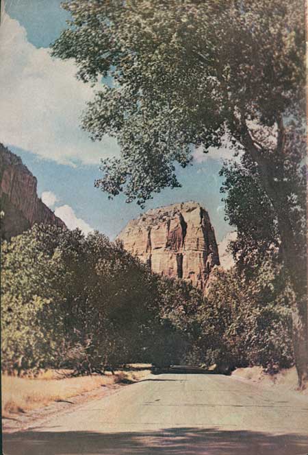 Angels Landing