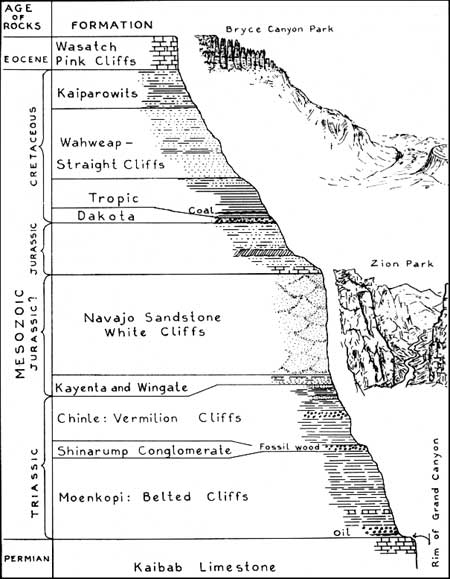 cross-section