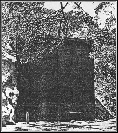 Searchlight Number 5