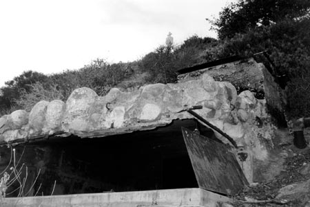observation slot