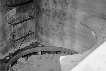 embedded metal ladder rungs